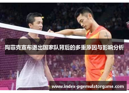 陶菲克宣布退出国家队背后的多重原因与影响分析