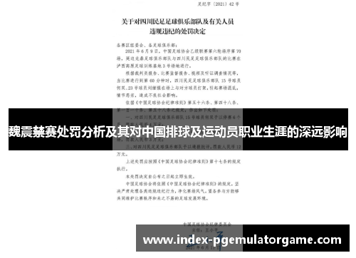 魏震禁赛处罚分析及其对中国排球及运动员职业生涯的深远影响