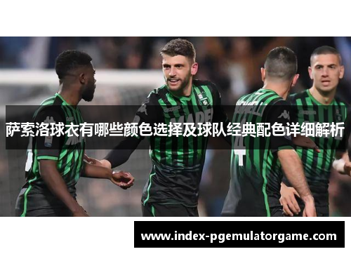 萨索洛球衣有哪些颜色选择及球队经典配色详细解析