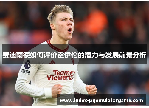 费迪南德如何评价霍伊伦的潜力与发展前景分析 费迪南德如何评价霍伊伦的潜力与发展前景分析