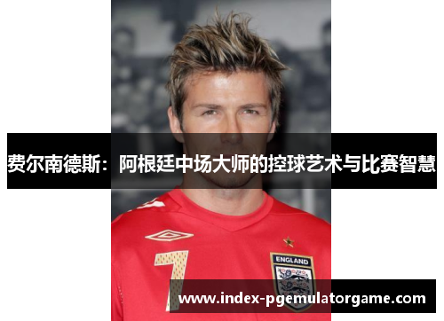 费尔南德斯:阿根廷中场大师的控球艺术与比赛智慧 费尔南德斯:阿根廷中场大师的控球艺术与比赛智慧