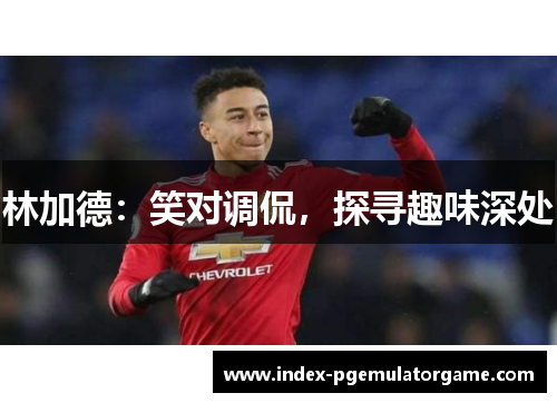 林加德:笑对调侃,探寻趣味深处 林加德:笑对调侃,探寻趣味深处