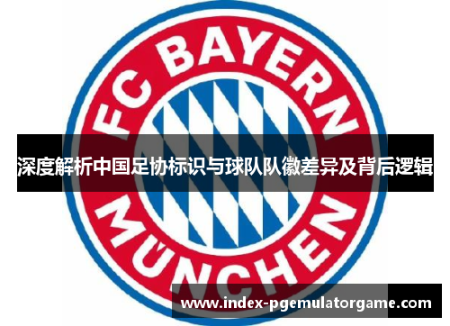 深度解析中国足协标识与球队队徽差异及背后逻辑