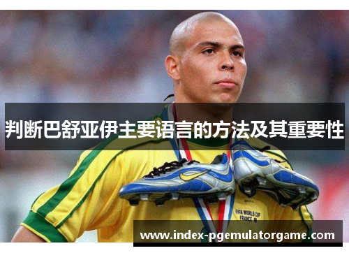 判断巴舒亚伊主要语言的方法及其重要性 判断巴舒亚伊主要语言的方法及其重要性