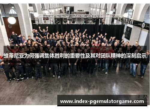 维蒂尼亚为何强调集体胜利的重要性及其对团队精神的深刻启示