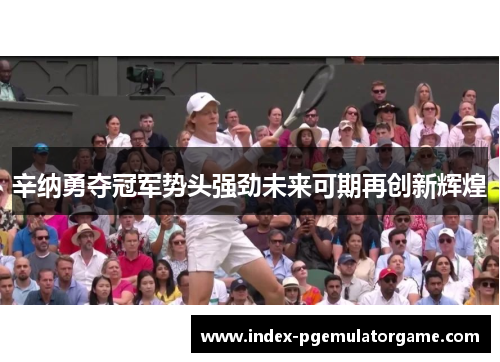 辛纳勇夺冠军势头强劲未来可期再创新辉煌