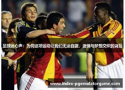 足球迷心声:为何这项运动让我们无法自拔,激情与梦想交织的背后 足球迷心声:为何这项运动让我们无法自拔,激情与梦想交织的背后