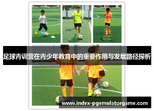 足球青训营在青少年教育中的重要作用与发展路径探析