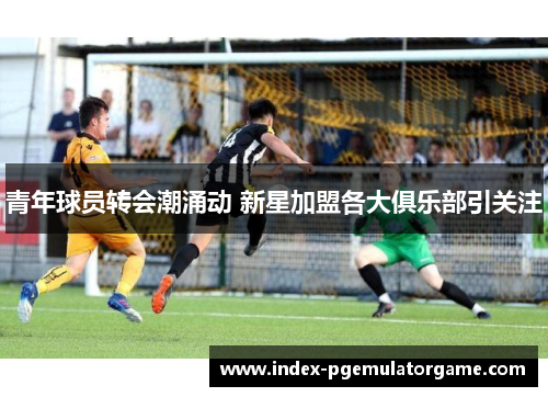 青年球员转会潮涌动 新星加盟各大俱乐部引关注 青年球员转会潮涌动 新星加盟各大俱乐部引关注