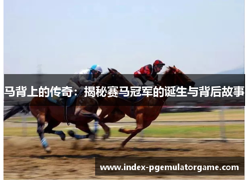 马背上的传奇：揭秘赛马冠军的诞生与背后故事